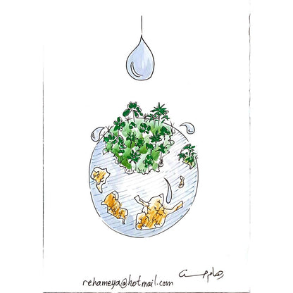 Reham Hassan Mohsen 29x21cm Orijinal Karikatür BOD00153