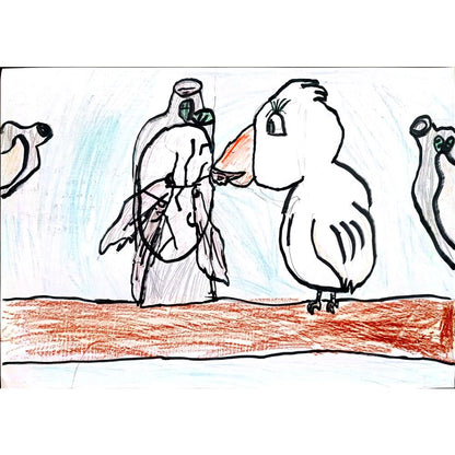 Aova Matukoluh 29x21cm Orijinal Karikatür BOD00345