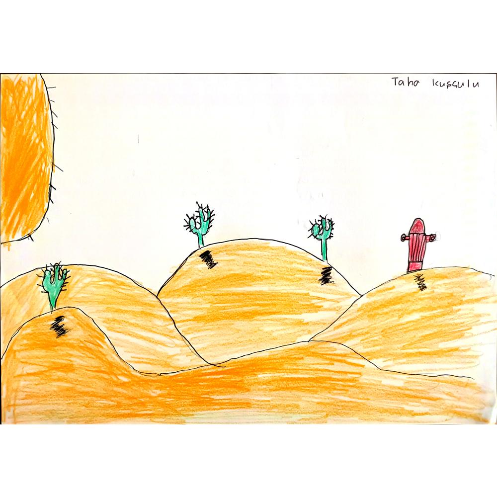 Taha Kuşçulu 35x25cm Orijinal Karikatür BOD00535