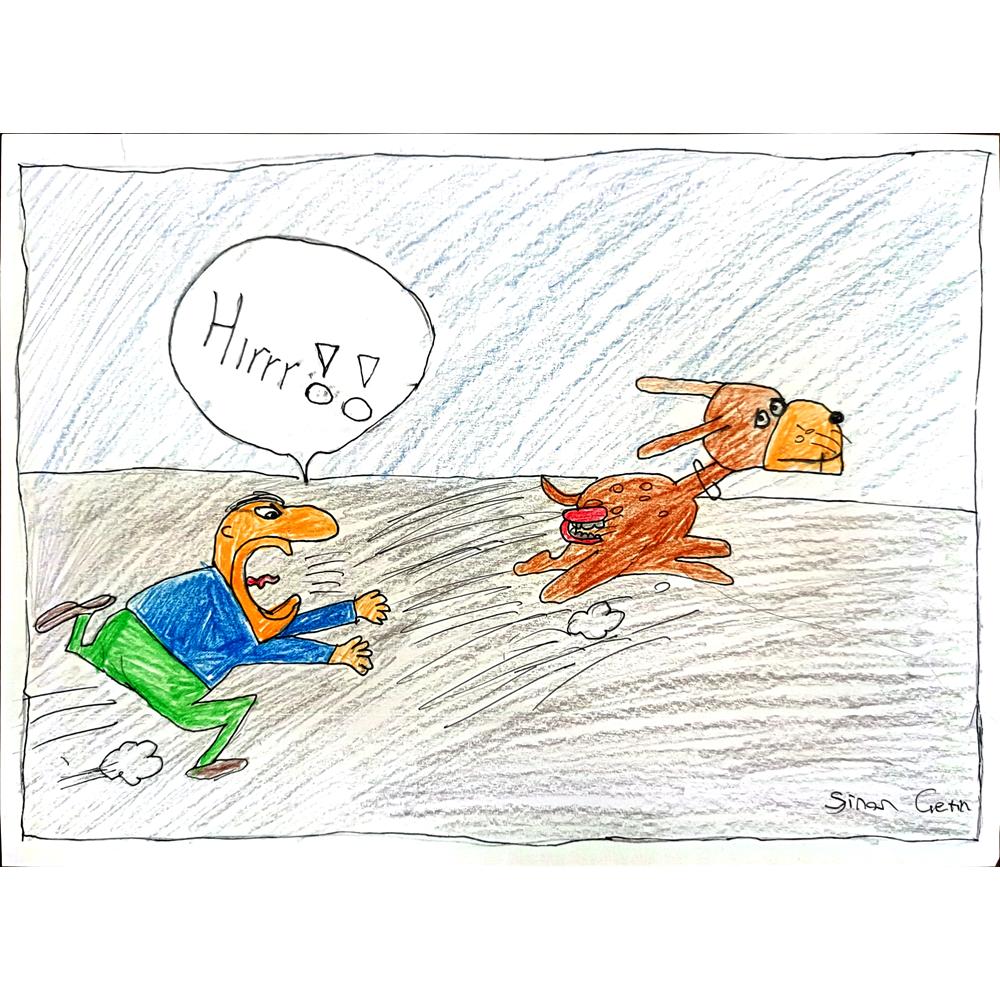 Sinan Çetin 29x21cm Orijinal Karikatür BOD00567