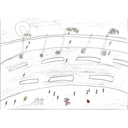 Olivin 29x21cm Orijinal Karikatür BOD00761