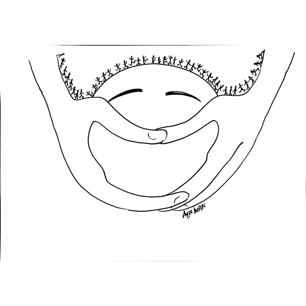 Ayşe İnan 43x30cm Orijinal Karikatür BOD00881