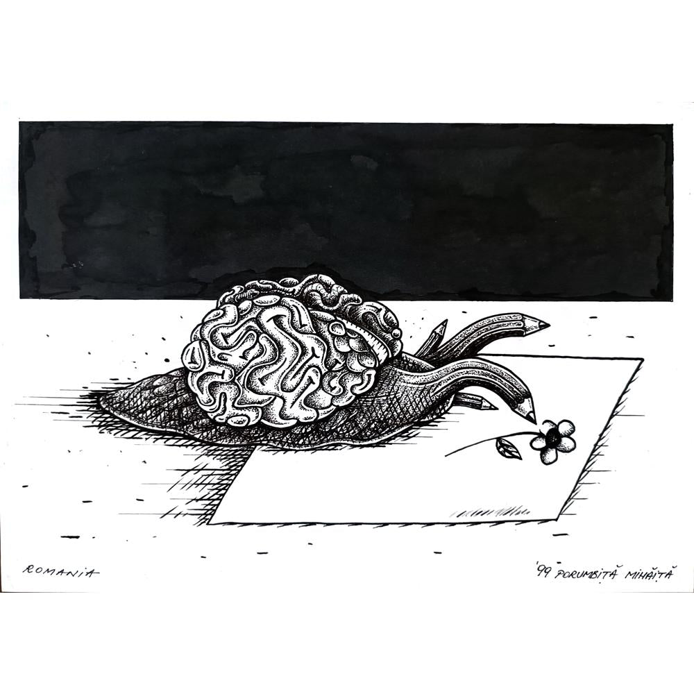 Porumbita Mihaita 29x21cm Orijinal Karikatür BOD01570