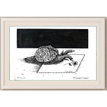 Porumbita Mihaita 29x21cm Orijinal Karikatür BOD01570