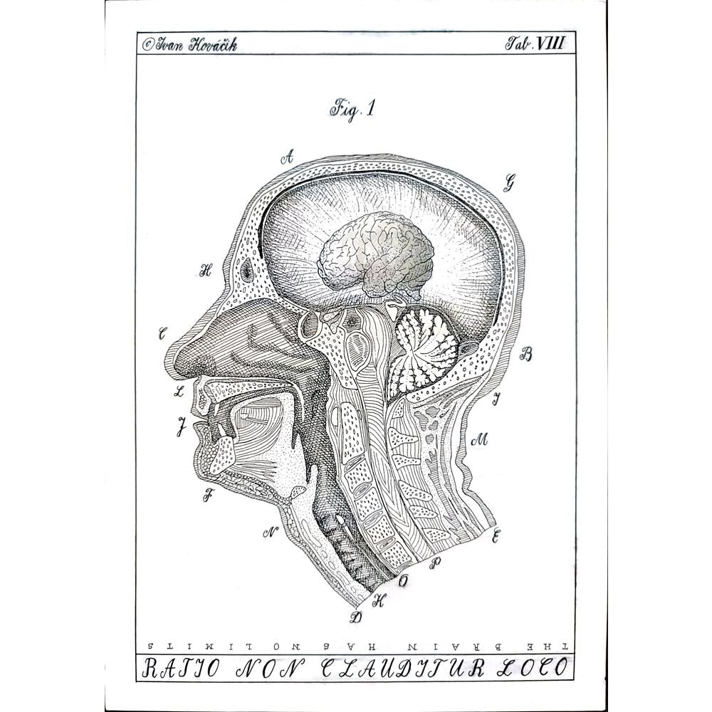 Ivan Kovacik 29x21cm Orijinal Karikatür BOD01675