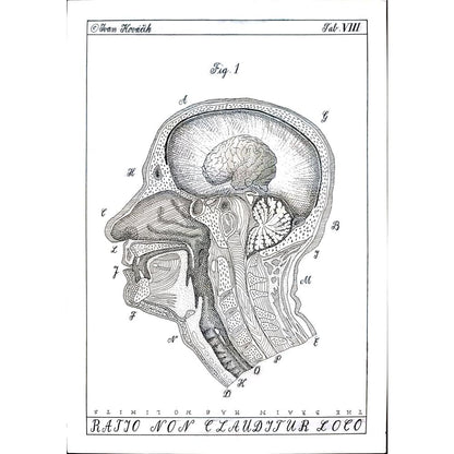 Ivan Kovacik 29x21cm Orijinal Karikatür BOD01675