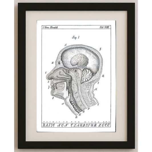 Ivan Kovacik 29x21cm Orijinal Karikatür BOD01675