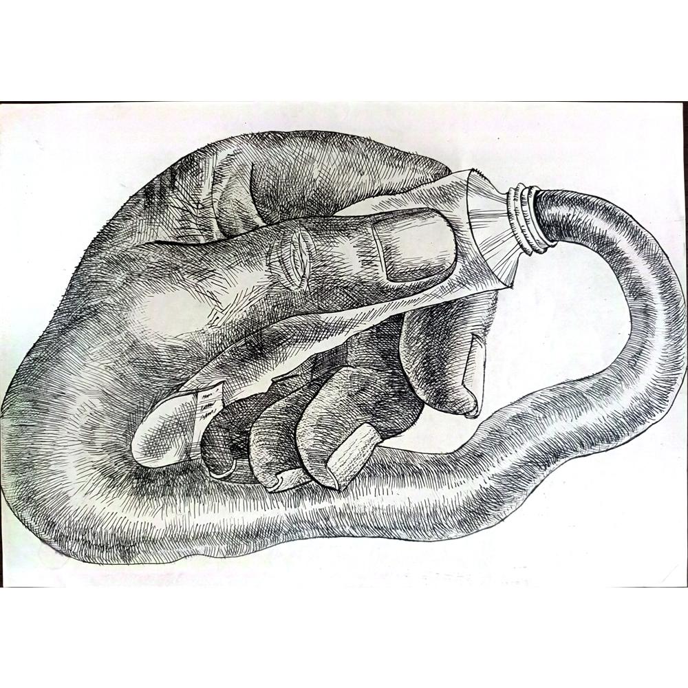 Ali Divandari 29x21cm Orijinal Karikatür BOD01706