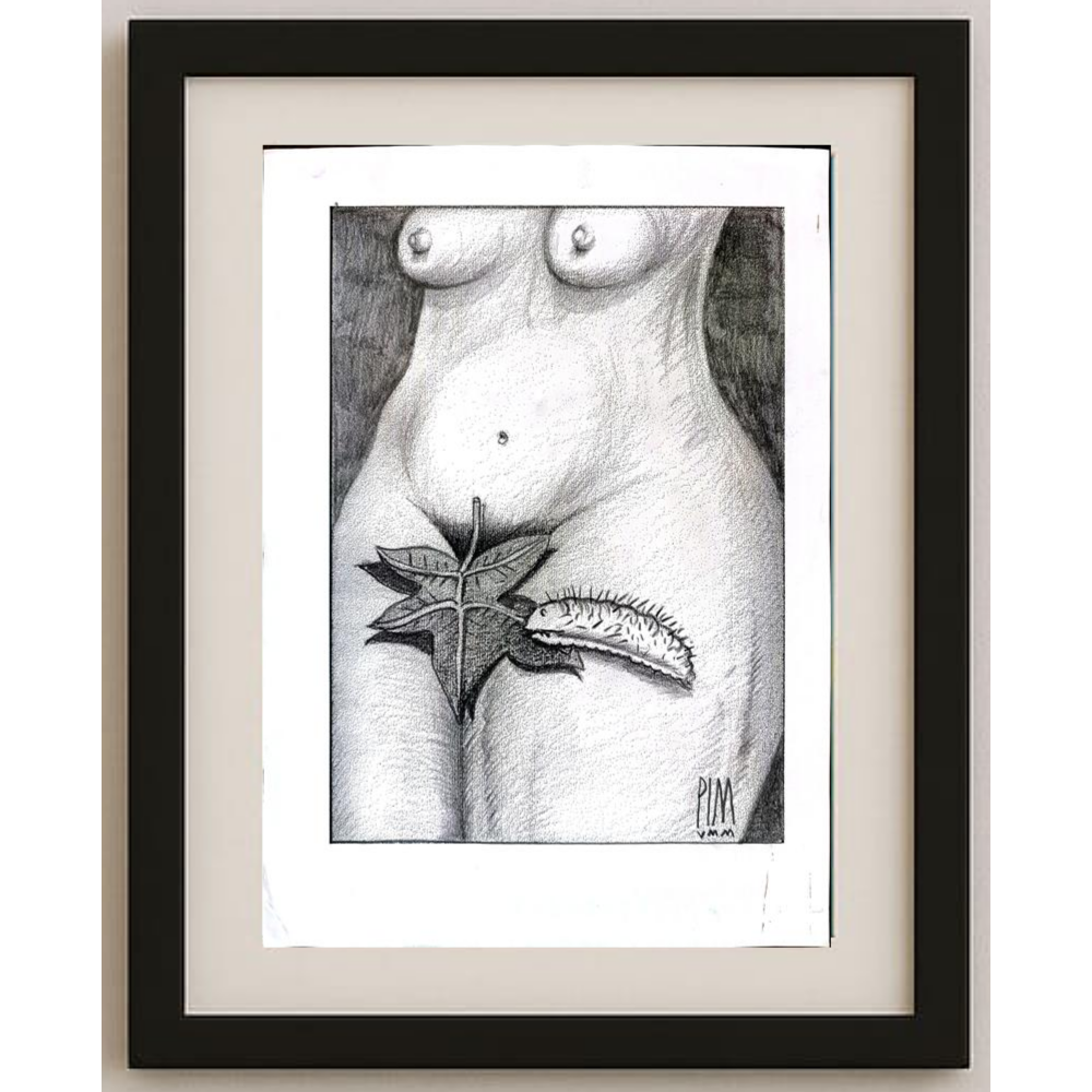 Mihai Pinzaru 29x21cm Orijinal Karikatür BOD01899