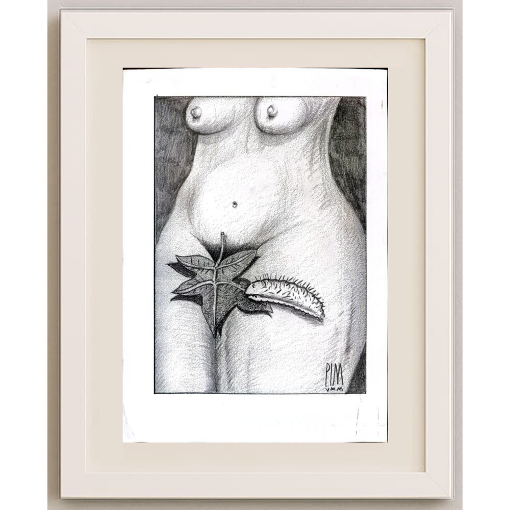 Mihai Pinzaru 29x21cm Orijinal Karikatür BOD01899