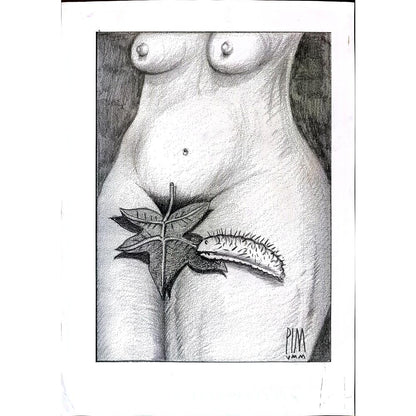 Mihai Pinzaru 29x21cm Orijinal Karikatür BOD01899