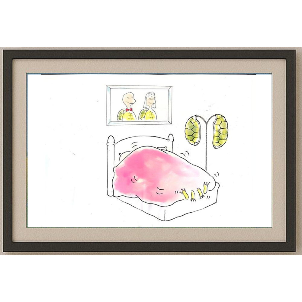 Zola Zli 35x25cm Orijinal Karikatür BOD02033