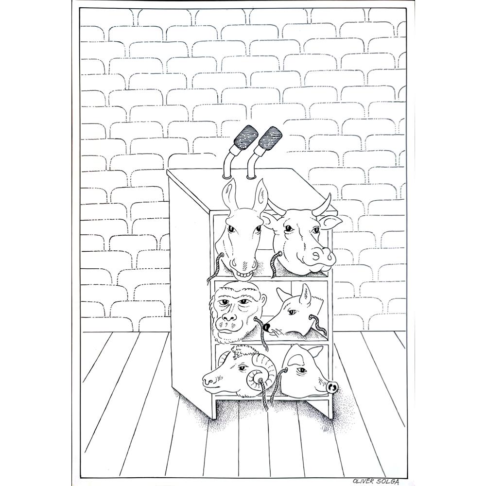 Oliver Solga 29x21cm Orijinal Karikatür BOD04298
