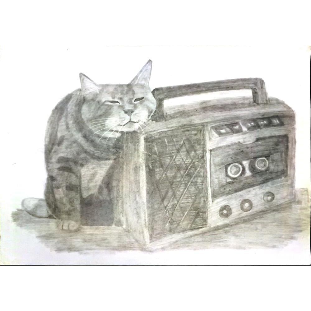 Tanya Shinkevich 43x30cm Orijinal Karikatür BOD05115