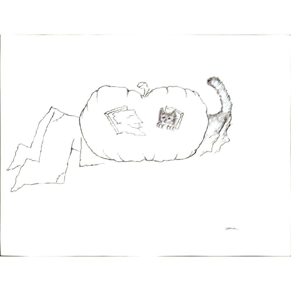 Saryal 43x30cm Orijinal Karikatür BOD05295