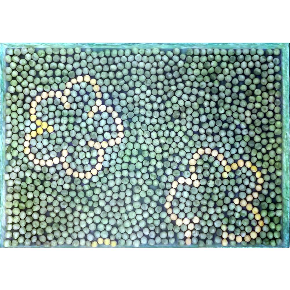 Marketta Holmberg 43x30cm Orijinal Karikatür BOD05871
