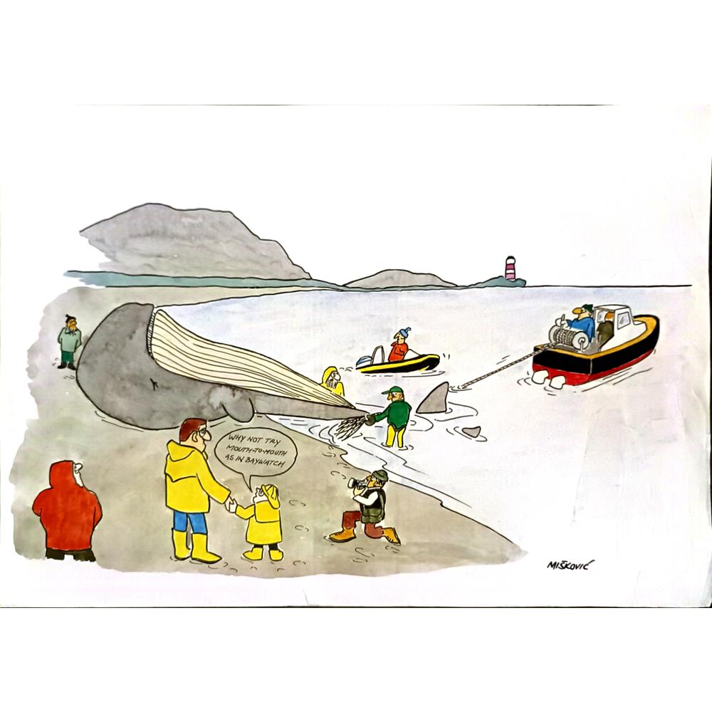 Cedomil Miskovic 35x25cm Orijinal Karikatür BOD06080