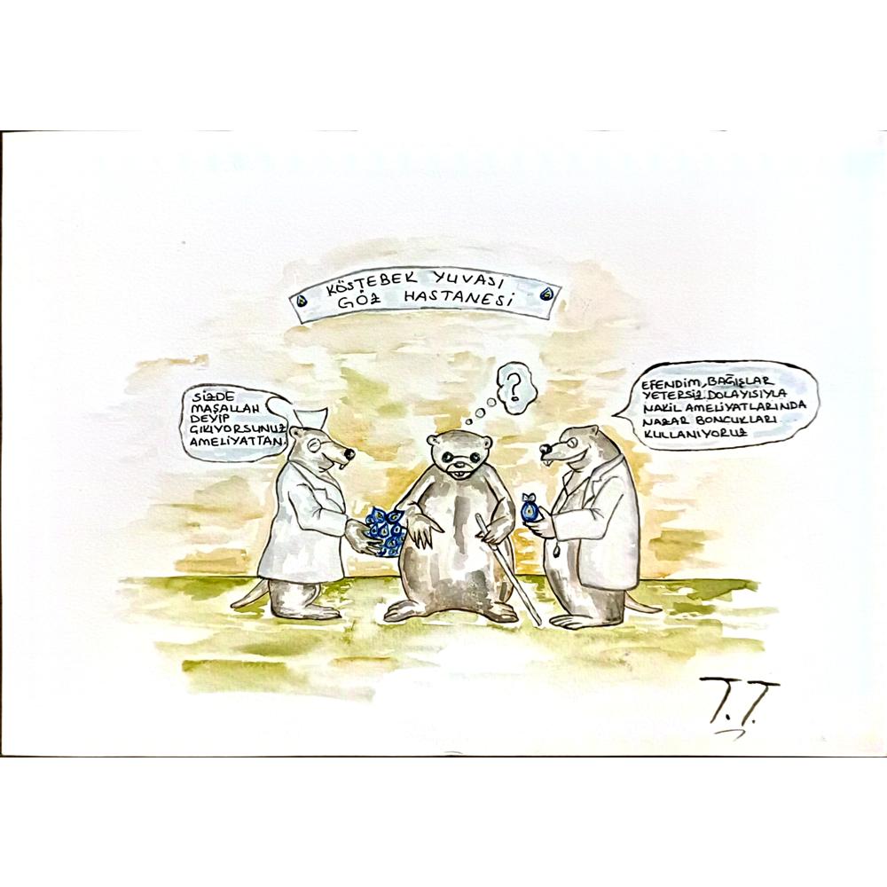 Tuğçe Turan 29x21cm Orijinal Karikatür BOD06487