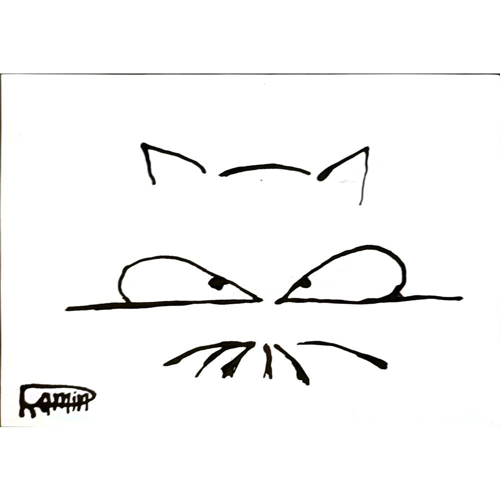 Ramin Rezaei 29x21cm Orijinal Karikatür BOD06680