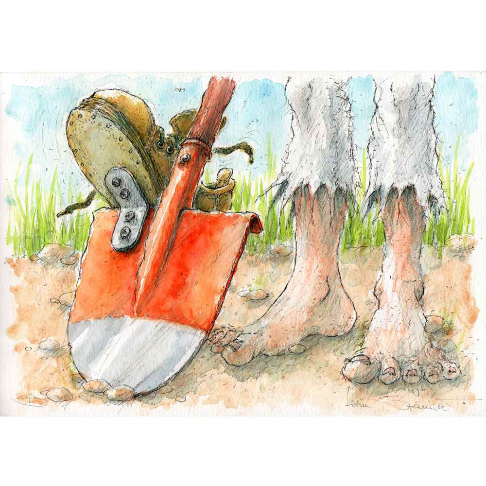 Liviu Stanila Pantof Kişiye Özel Sertifikalı Sınırlı Fine Art Karikatür Baskı CAD00051